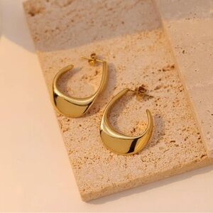 Elegant Gold Hoop Earrings